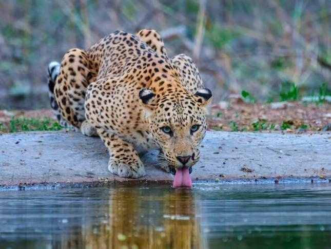 explore-the-wild-tour