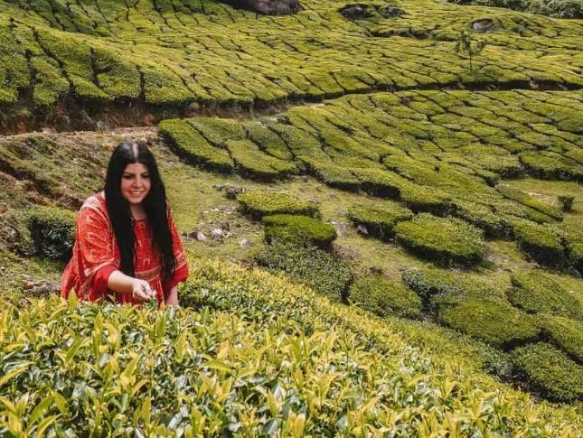 luxury-themed-kerala-tour