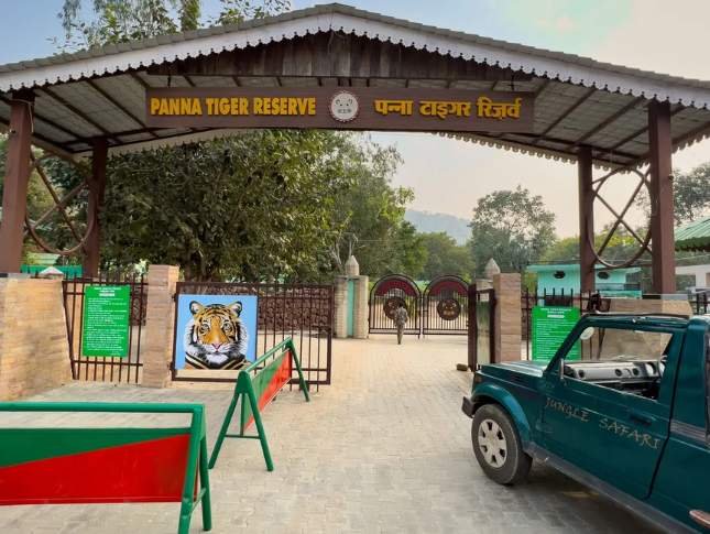 panna-national-park-safari-tour